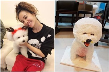 蔡依林想办翻糖服装展 po出草稿图自嘲自恋