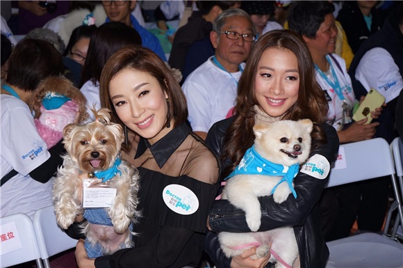 〈Yes 香港现场〉本想带宠物出门见客  杨怡：他们没见过大场面