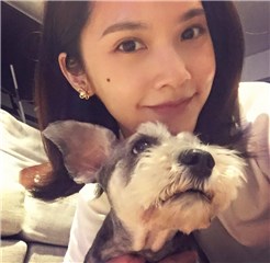 图片说明