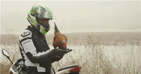 图片说明