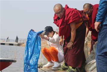 图片说明
