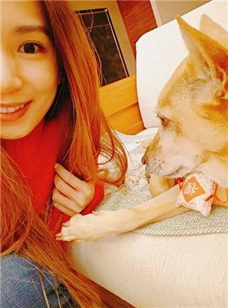 爱犬突癫痫发作离世   田馥甄崩溃忍痛诀别