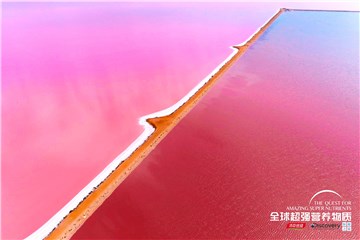 腾讯视频携手汤臣倍健探秘之旅-首曝内容粉色湖夺目惊艳