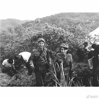 图片说明