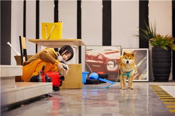 郑爽和狗狗互动