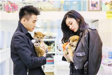 奚梦瑶何猷君买狗
