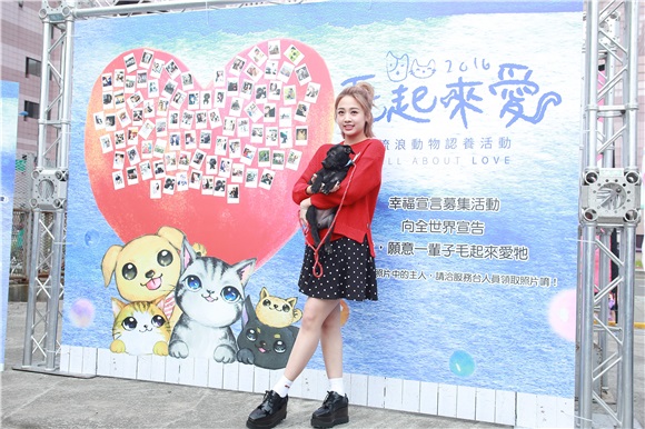 鬼鬼吴映洁出席流浪动物认养活动