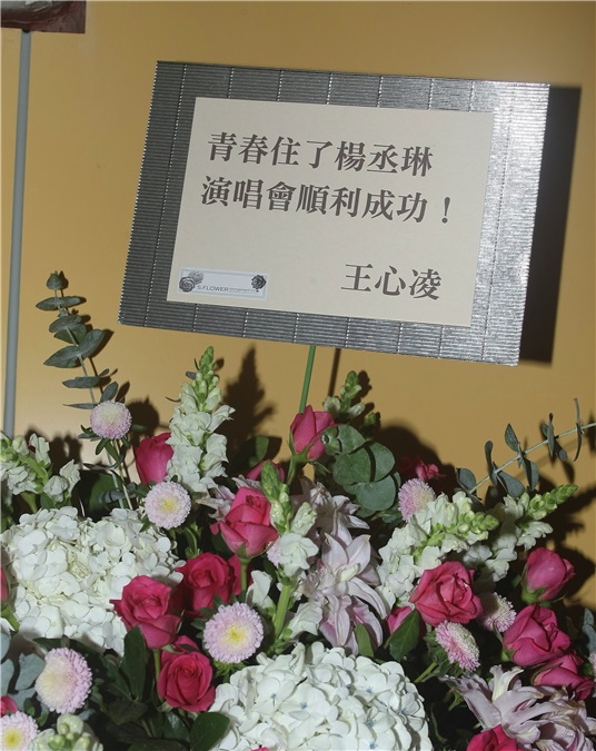 杨丞琳举办演唱会