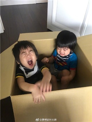 林志颖双胞胎儿子玩纸箱超开心 互捏脸还互相亲亲