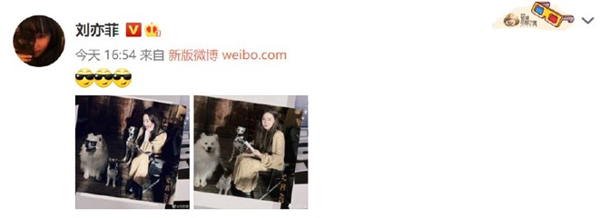 刘亦菲晒35岁庆生照  猫猫狗狗似守护公主的骑士