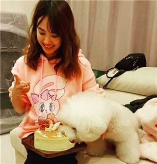 没了锦荣还有狗儿子 蔡依林首开直播为屋虎庆生