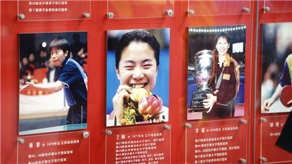 国乒荣誉墙上的王楠