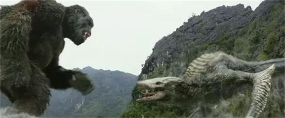 图片说明