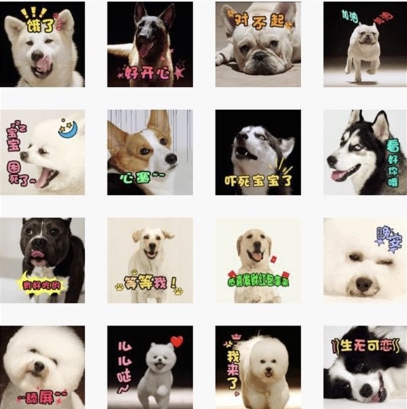 狗年第一「狗情包」问世 《营救汪星人》11罗汉犬走红
