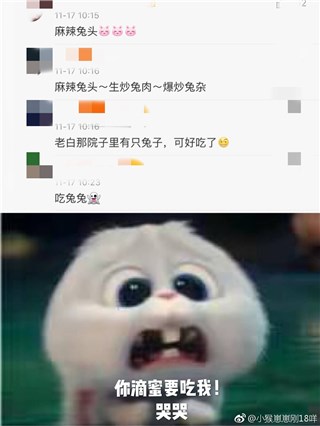 大张伟的兔子惹得粉丝吃醋