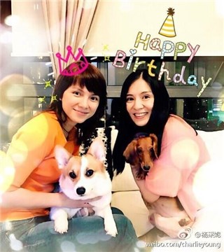 (杨采妮与李心洁都是双胞胎妈妈 图/翻摄自杨采妮微博)