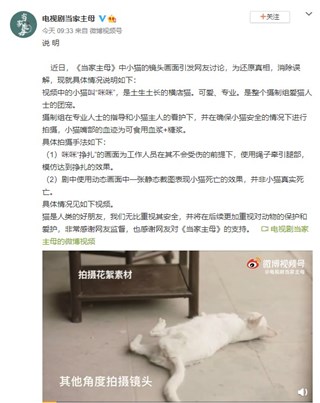 《当家主母》毒死猫镜头引争议  剧方回应：挣扎画面是类比的，嘴边的血是糖浆