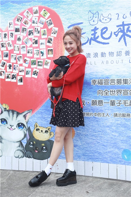 鬼鬼吴映洁出席流浪动物认养活动
