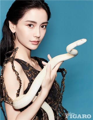 狂野的视觉冲击，Angelababy与蛇共舞，登费加罗九月封面