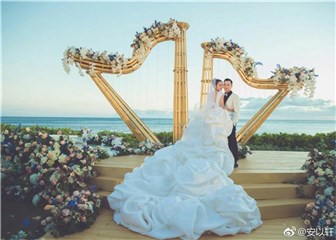 安以轩纪念结婚一周年 甜蜜晒牵手照自问:陈太习惯了吗