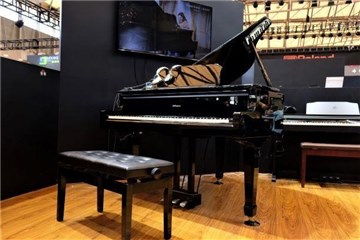 图:GP609三角钢琴