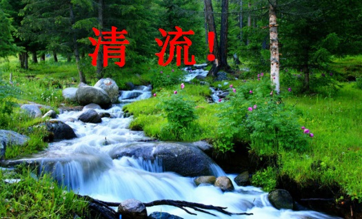 「虹桥一姐」意外走红 追星界清流只服许嵩粉丝