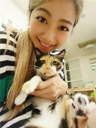 图片说明