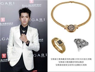 宝格丽全球品牌代言人吴亦凡