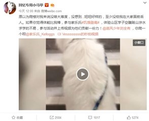 回忆专用小马甲参与家乐氏#饥饿登高#