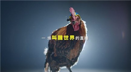 图片说明