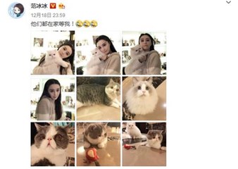 范冰冰抱小白妹妹亲昵合影 李晨：羡慕我猫