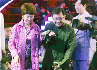 蔡女王和她的小兵子