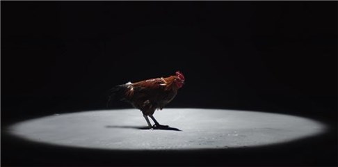 图片说明