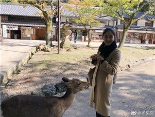 杨采妮儿子心疼爸爸眼睛不舒服 用霜淇淋玩具安慰爸爸