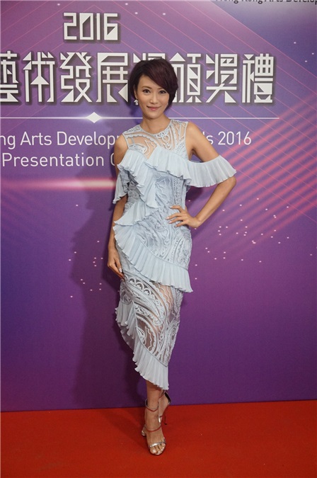 古天乐、任贤齐、林家栋、汪明荃和张艾嘉等出席香港艺术发展颁奖典礼