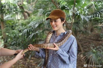孙俪晒「人蛇合影」笑开怀 傻问：只有我觉得牠很可爱吗？