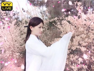 图片说明