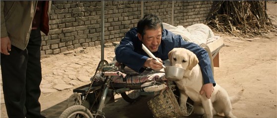 图片说明