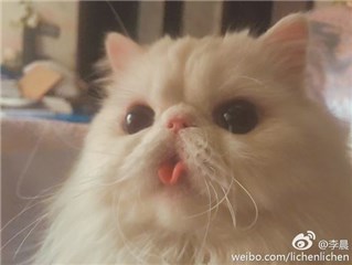 图片说明
